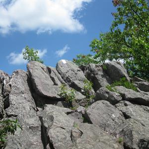 Climb to top of Cat Rocks 300 IMG_0782